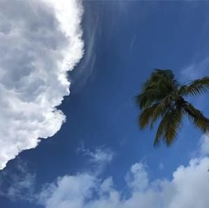 Meet your Posher, Shae